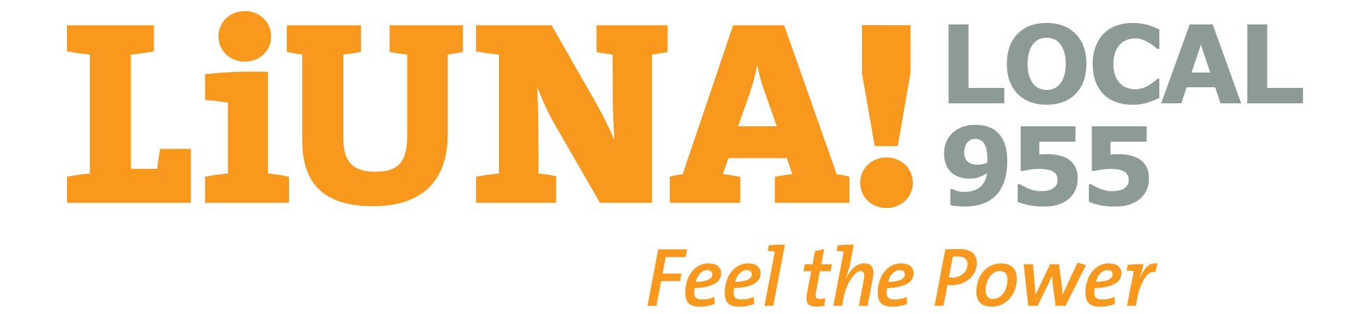 Organizer in Training – LiUNA Local 955